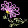 embroidery designs