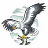 embroidery designs