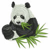 embroidery designs