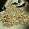 embroidery designs