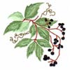 embroidery designs