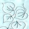 embroidery designs