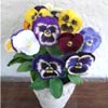 embroidery designs