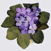 embroidery designs