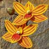embroidery designs