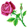 embroidery designs