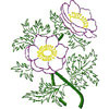 embroidery designs