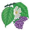 embroidery designs