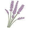 embroidery designs
