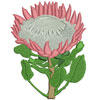 embroidery designs