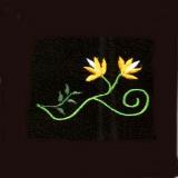 DDS_BS_5x7_15