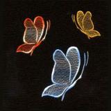 DDS_BS_5x7_23