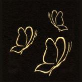 DDS_BS_5x7_24