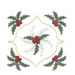DDS-holly007