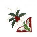 DDS-holly009