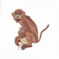 monkey01