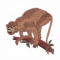 monkey02