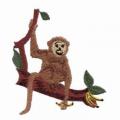 monkey05