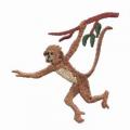 monkey06