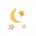 DDSMoon01