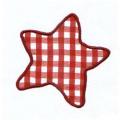 DDSstar01