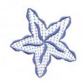 DDSstar02