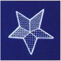 DDSstar03AA