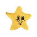 DDSstar04