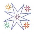 DDSstar13