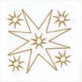 DDSstar13AA
