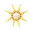 DDSstar16