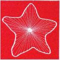 DDSstar20AA