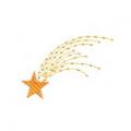 DDSstar21