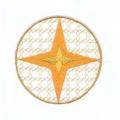DDSstar22