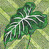 embroidery designs