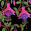 embroidery designs