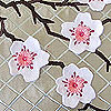 embroidery designs
