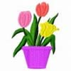 embroidery designs