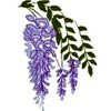 embroidery designs