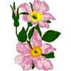 embroidery designs