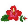 embroidery designs