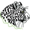 embroidery designs