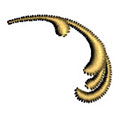 Anniversary Scroll