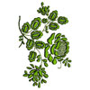 embroidery designs
