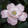 embroidery designs