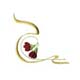 desmed22