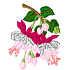 embroidery designs