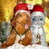 embroidery designs
