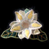 embroidery designs