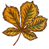 embroidery designs
